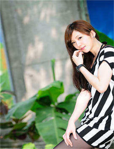 白鸟美丽物语