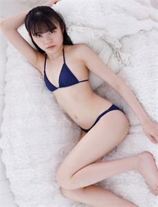神虎飞鹰电视剧